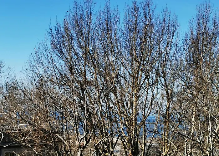 Murat Otto Bed & Breakfast